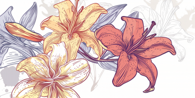 Floral Line Art Illustration