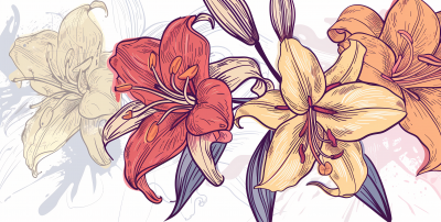 Line Art Flowers and Lilies