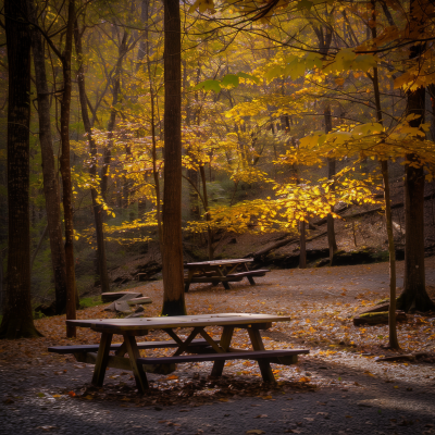 Autumn scene at Newton Ford Picnic Area