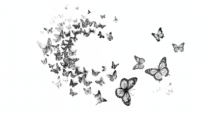 Butterfly Spiral Tattoo Design