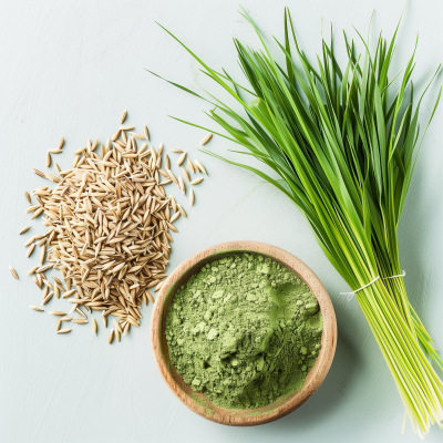 Barley Grass in Different Forms