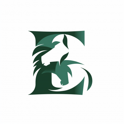 Minimalist Letter E Logo Design
