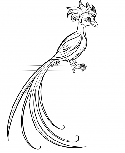 Resplendent Quetzal Coloring Book Page