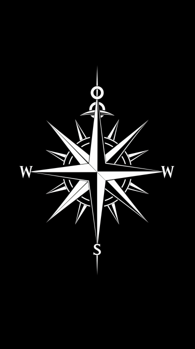 Flat Vector Compass Logo
