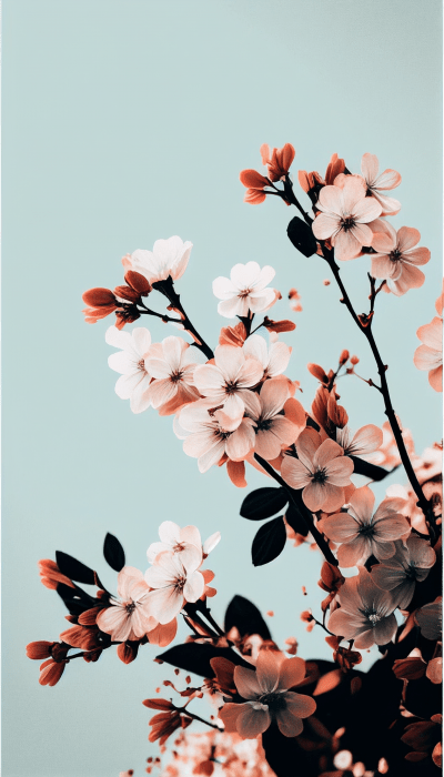 Spring Phone Wallpapers