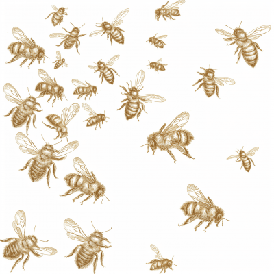 Golden Bees Illustration