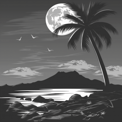 Tropical Night Beach Scene Illustration