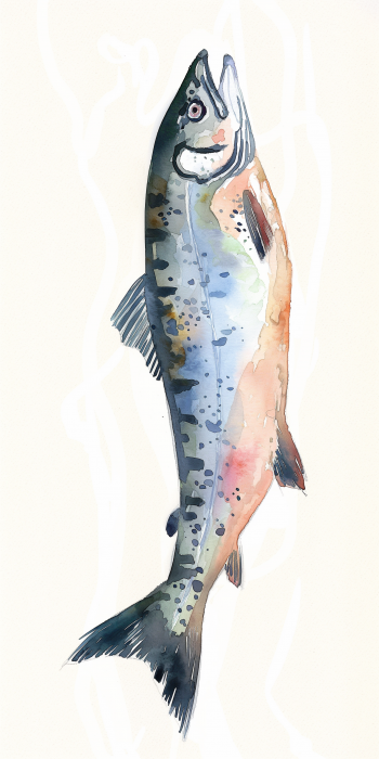 Salmon Watercolor Painting