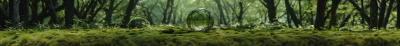 Grassy Sphere in Forest