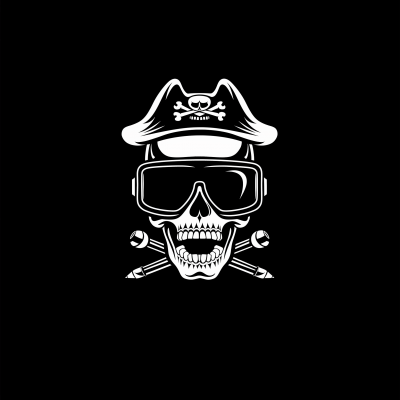 Minimalistic Pirate Skull Logo Design