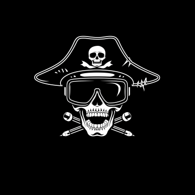 Minimalistic Pirate Skull Logo