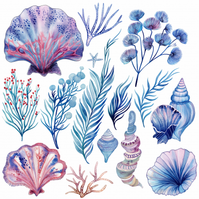 Watercolor Marine Elements Collection