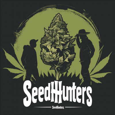 Logo Design for Online Cannabis Seed Shop