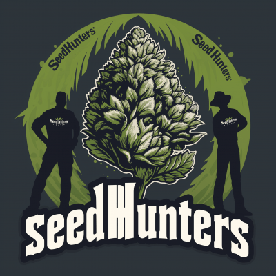 Logo Design for Online Cannabis Seed Shop