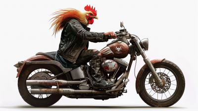 Rooster Riding Harley Davidson
