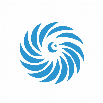 Turkish International Policy Observatory Logo