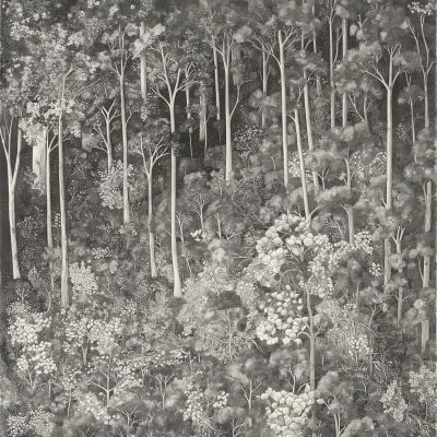 Sclerophyll Eucalypt Forest Drawing