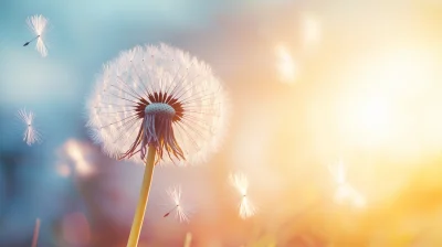 Dandelion Seed in the Sky