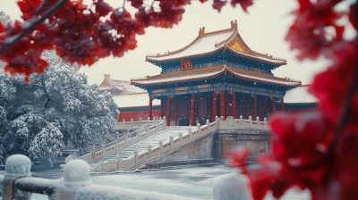 Winter Snow Scenery in the Forbidden City Dream of the Red Chamber Garden