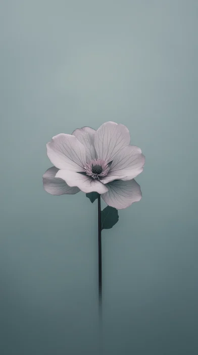 Minimalist Flower