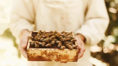 Honeybee Swarm