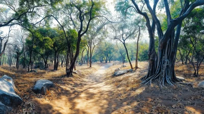 Forest in Ranthambore, India