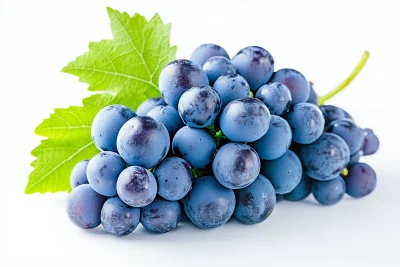 Fresh Blue Grapes