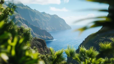 Cinematic Canary Islands Landscape