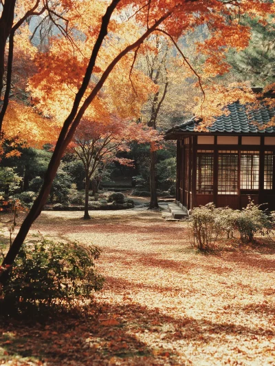 Autumn in Kyoto