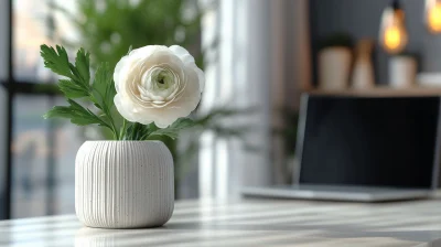 Close Up Product Photography of Office Desk with Ranunculus Flower