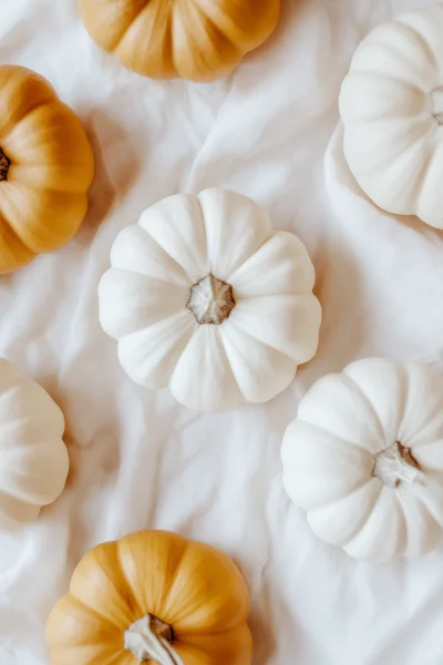 White Pumpkin Still Life