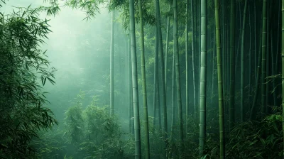 Bamboo Forest Texture