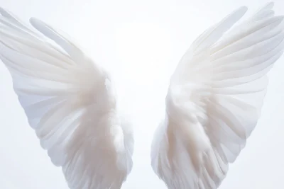 Angel Wings