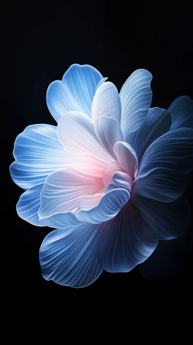 Blue and White Flower Petals