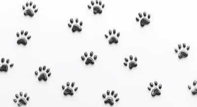 Animal Paw Prints on White Background