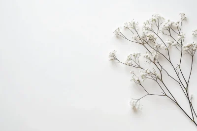 Minimalist White Background with Kala Flower