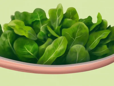 Green Salad Illustration