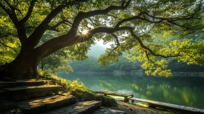 Sunlit Tree Branch by Dali Lake