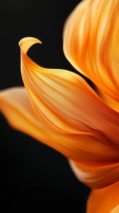 Elegant Flower Petal