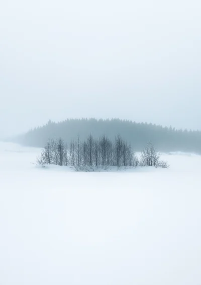 Minimalist Winter Landscape