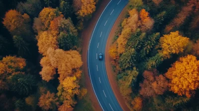 Autumn Road Trip