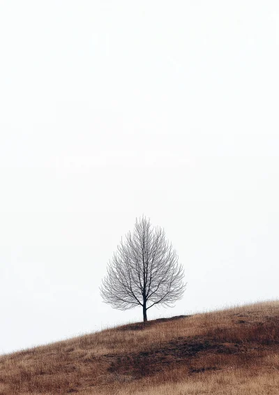 Minimalist Beauty Landscape