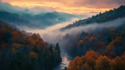 Aerial shot of foggy landscape