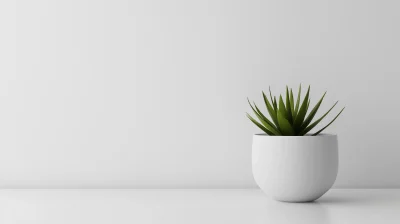 Minimalist Plant Mockup