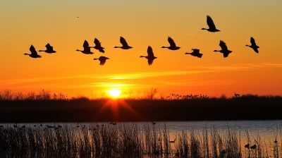 Sundown Flight