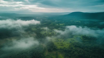 African Jungle in Ethiopia