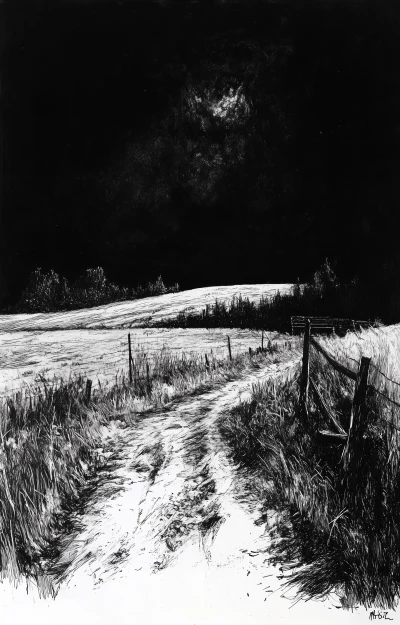 Dark Art Field Illustration