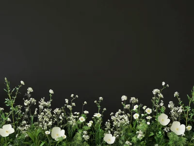 White Meadow Plants on Black Background