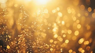 Golden Bokeh Background