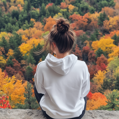 Fall Forest View